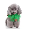 Grey poodle wearing festive green tulle collar with red stars and small bells - S / Green Tulle Red Star Bell (SDZ30)