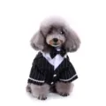 Gentleman style pinstripe dog tuxedo with black bow tie for formal pet occasions - S / Premium Stripe Tailcoat (SDZ75) / Black Stripe