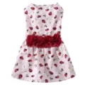 Détail de la jolie robe pour animal à motif coccinelle, tissu rose et fleurs rouges. - XS / Rose