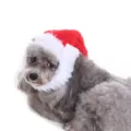 Detailed macro view of soft red and white plush Christmas hat for pets on small dog - Red White Plush Xmas Hat (SDZ32)