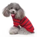 Cute pet dog sweater high neck striped two-legged puppy apparel for autumn spring daily wear - CZ118 Red Stripes