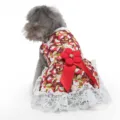 Detailed back view of pet princess dress with red floral print, big bow, and white lace. - XS / Jujube Red