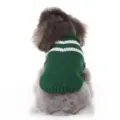 Pull vert confortable pour chien avec rayures blanches vêtement tricoté chaud pour animaux - M / Vert Foncé
