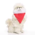 Christmas pet scarf in red fleece with white plush trim and golden bell decoration - Christmas Bell Triangle Scarf (SDZ37)