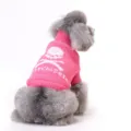 Bright pink knitted dog sweater featuring a white skull graphic and high neck design - S / Tops / Pink Single Skull