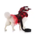 Set imbracatura per cani a quadri rossi e neri con gonna tutu, gilet principessa e guinzaglio. - Rosso e nero