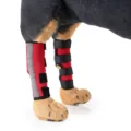 Detail shot of red dog leg braces with reflective strips for pet injury recovery - S / Red with Reflective Strip