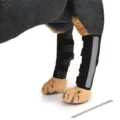 Dettaglio professionale del tutore nero per cani con striscia riflettente e barra di sostegno - Ginocchiera riflettente nera (Gen 3 con barre di supporto)