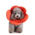 Cute flower pet elizabethan collar for dogs and cats, soft cone collar for healing. - Orange Flower (YLSB09)