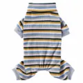 Colorful striped pet pajamas detail, cozy high neck design, soft knit fabric for small dogs. - SY76 Green Colorful Striped