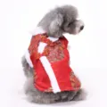 Red Chinese style pet winter coat for dogs, festive New Year Tang suit with plush trim. - XS / Red