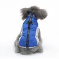 Caldo cappotto invernale per cani con cerniera e anello, giacca imbottita blu per animali. - DZ261 blu