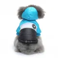 Caldo cappotto invernale per cani con cappuccio, giacca imbottita colorblock autunno inverno - DZ263 blu