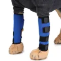 Adjustable blue pet dog leg protector braces for surgical injury and joint support - S / Blue
