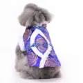 Pet winter dog coat, purple Tang suit variant with plush trim and rose pattern. - XS / Blue