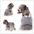Pull-over en tricot gris pour petits animaux avec un joli motif d'animal de dessin animé. - S / MYD102 gris