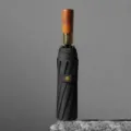 Ombrello pieghevole a 10 stecche con manico in legno, parasole nero retro per sole o pioggia. - Nero Elegante