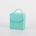 Exquisite portable mint green faux leather jewelry box featuring a handheld strap for travel - Fruit Green