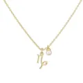 Close-up of gold Capricorn zodiac necklace with small pearl charm on white background - Capricorn