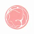 Joli éponge vaisselle ronde en pulpe de bois outil de nettoyage de cuisine chiffon absorbant - Saucisson