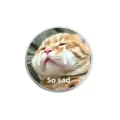 Détail d'un badge en métal argenté avec un mème de chat qui pleure et le texte 'So sad'. - Chat Roux qui Pleure So Sad (YP0566)