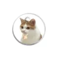 Broche épinglette amusante en métal avec chat réfléchissant pour vêtements et accessoires - Chat Pensif Chargement (YP0549)