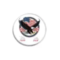 Circular American eagle metal brooch with patriotic flag design and enamel finish - Eagle and Flag Style (YP0602)