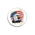 Gedenkabzeichen zum 250. Jahrestag der USA mit Weißkopfseeadler- und Flaggen-Design - Adlerkopf Und Feuerwerk (YP603)