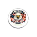 Gedenkanstecknadel aus Metall mit Adler- und US-Flaggen-Design zum 250-jährigen Jubiläum - Amerika Buchstaben Und Adler (YP604)