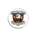 United States 250th Anniversary commemorative metal pin with bald eagle shield design - Flag Shield Eagle Style (YP0616)