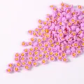 Vista dettagliata di rose in resina rosa in miniatura per nail art e progetti fai-da-te - Petalo Viola Chiaro Centro Giallo