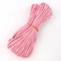 Primer plano de cordón de cuero PU trenzado plano rosa de 2mm para joyería y bolsos - Aprox. 10m/Manojo / Rosa Melocotón (06#)