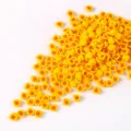 Ciondoli rosa in resina gialla e arancione per nail art e accessori fai-da-te. - Petalo Giallo Centro Arancione