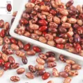 Natural wood barrel beads with floral decal large hole DIY loose beads for jewelry making craft - Rice Bead (10x6mm) / 50 Pieces/Pack