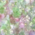 Macro detail of iridescent AB finish acrylic flower petal beads for DIY jewelry making - 10 Pieces/Pack / Pink Green White Gradient (05)