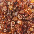 Mixed baroque gold-plated acrylic beads, amber vintage DIY jewelry making charms supplies. - Brown