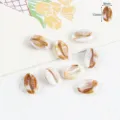 Perline conchiglia in acrilico fai da te gioielli accessori ciondolo collana 13x8mm - Conchiglia (13x8mm) / 5 Pezzi