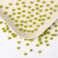 6mm Resin Peony Flower Nail Art Charms Cute DIY Accessories Phone Case Crafts 100pcs - 100 Pieces/Pack / Green