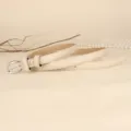 Elegant cream-colored thin leather belt with silver oval buckle for women's jeans - 110cm / Off White