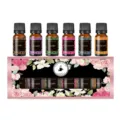 Elegante set de regalo de 6 aceites aromáticos de 10 ml con aromas florales y amaderados - Combinación de Lavanda/Flor de Cerezo/Océano/Vainilla/Sándalo/Café / Pack de 6 Frascos