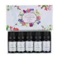 Set regalo oli essenziali 5x10ml oli puri per aromaterapia menta piperita lavanda albero del tè - 10ml*5pz (Lavanda/Citronella/Menta/Eucalipto/Albero del Tè) / 10ml*5 Bottiglie