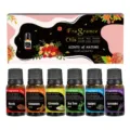 Set de aceites esenciales 6 frascos 10ml extractos de plantas naturales aromas difusor - Lavanda/Almizcle/Canela/Árbol de Té/Enebro/Citronela