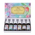 Set regalo di 6 oli profumati di prima qualità con scatola decorata con fenicotteri. - 10ml Per Flacone (Sei Flaconi Totali) / Profumi Misti Inclusi Lavanda E Bergamotto