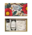 Set de difusor de aroma de sándalo con aceite 50ml, base de cerámica y flor decorativa - Set de regalo de secuoya y sándalo