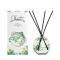 Set de difusor de varillas de 80ml con flores secas verdes y caja floral elegante - Gentleman