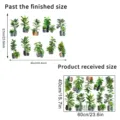 Green plant wall sticker size chart: 57x90cm finished vs 40x60cm received sheet - Green Potted Plant (KSXN111S)