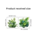 Detail view showing 30cm square tropical leaf stickers dimension in inches - KSC224C-Tropical Plants / 30x30cm (2 Pieces)