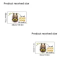 Dimension chart for funny cat glass stickers in 28x48cm and 30x50cm sizes - Upside Down Cat (KSUV-21F)