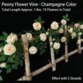 Champagnerfarbene künstliche Pfingstrosenrebe 1,8 m für die Wanddekoration - 1.8m/19 Blumen / Champagner