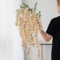 Artificial creamy white wisteria laburnum vine hanging flower for wedding home decoration - Six Branches Hanging Style / Light Champagne